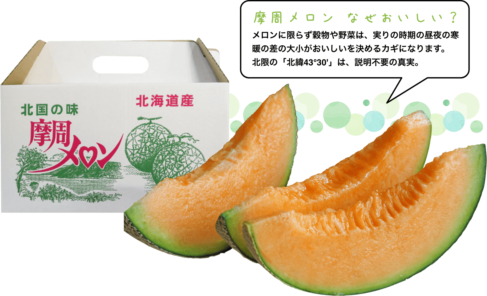 摩周メロンなぜおいしい？　メロンに限らず穀物や野菜は、実りの時期の昼夜の寒暖の大小がおいしいを決めるカギになります。北限の「北緯43°30’」は、説明不要の真実。