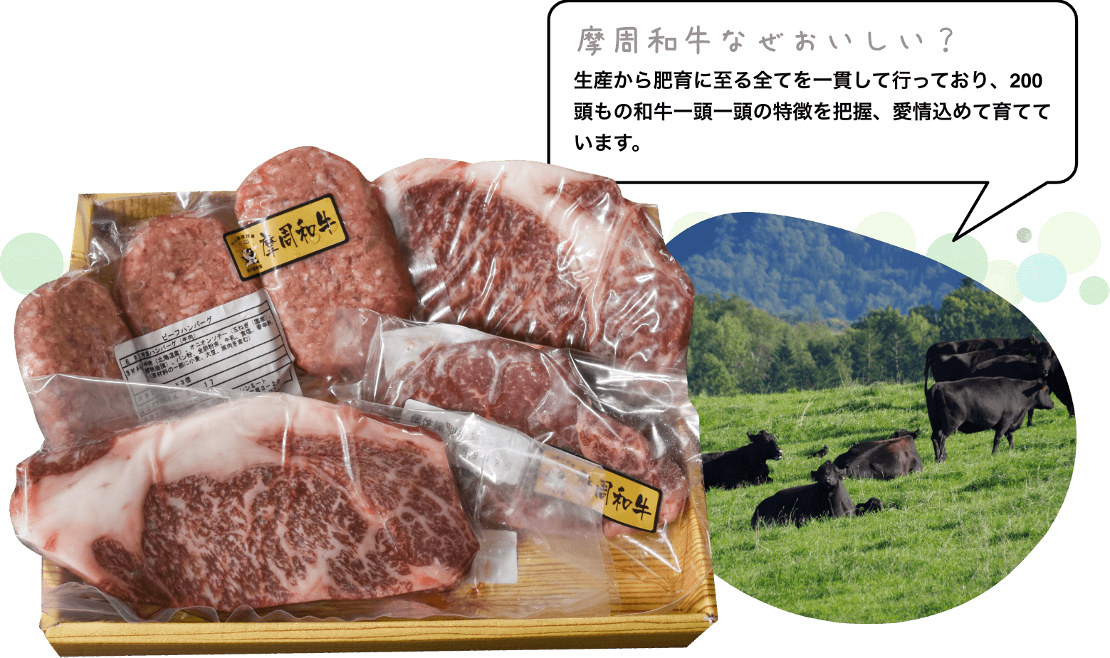 摩周和牛なぜおいしい？　生産から肥育に至る全てを一貫して行っており、200頭もの和牛一頭一頭の特徴を把握、愛情込めて育てています。